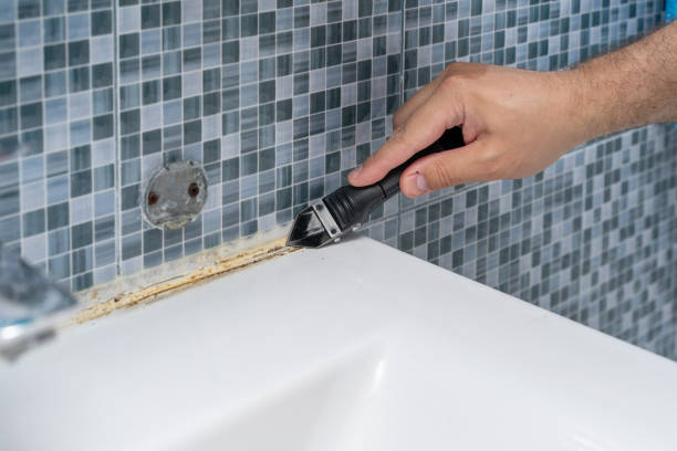 Best Residential Mold Remediation in Wade Hampton, SC